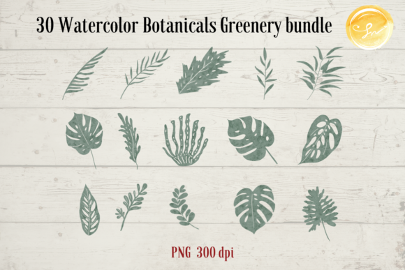 Download 30 Watercolor Botanicals Greenery Bundle - Watercolor botanicals Collection
