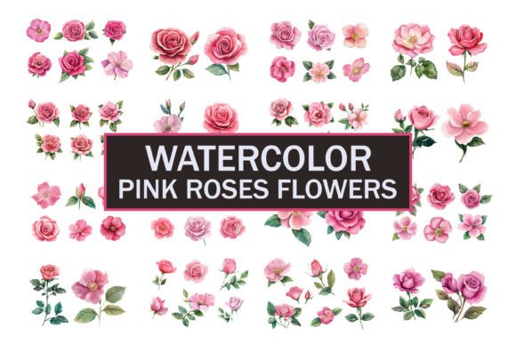 Download Hand Painted Roses - Premium Resources