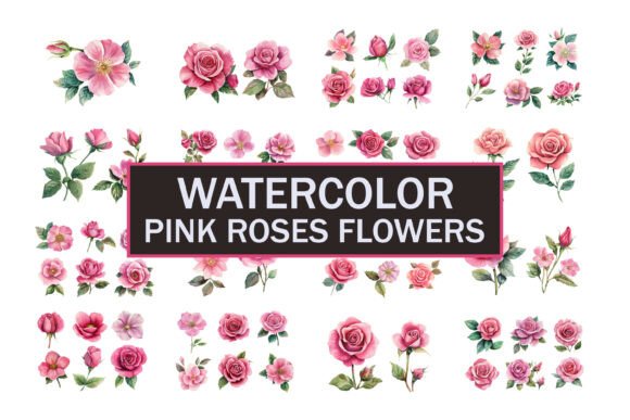 Download Hand Painted Roses Flowers - Premium Resources